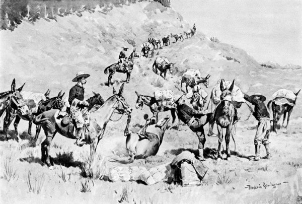 A Government Pack Train