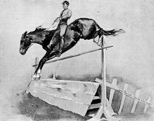 Five-Foot Hurdle Bareback