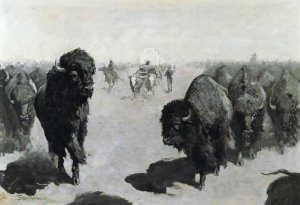 Lane through the Buffalo Herd